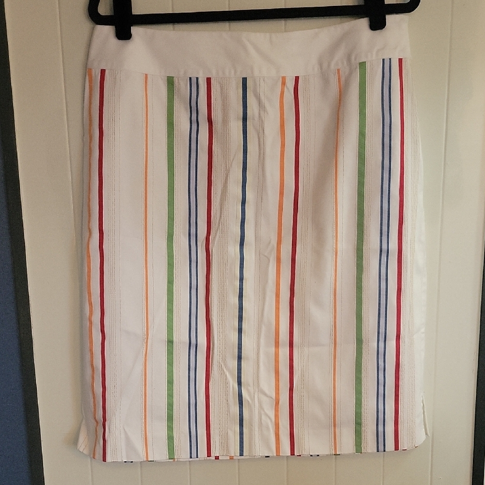 Striped Multicolor Women's Skirt